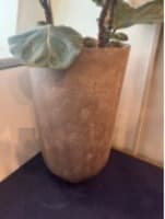 Plant Pot