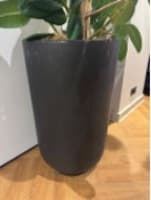 Plant Pot