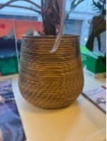 Plant Pot
