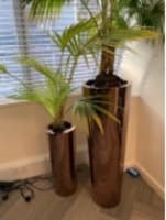Plant Pot