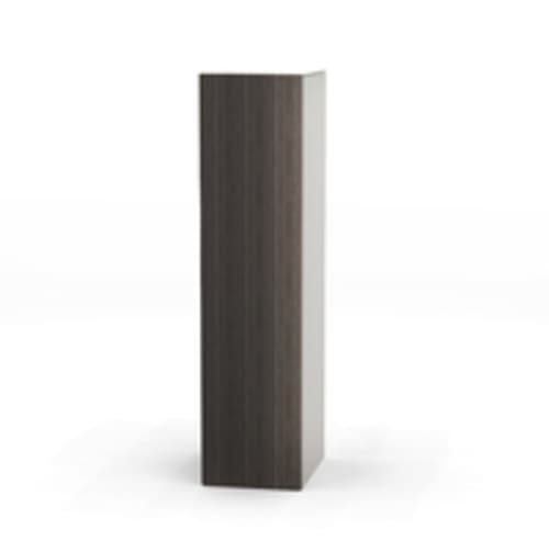 Wardrobe Door Hinged Right