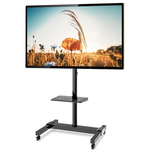 Rolling Stand & Flat Screen TV