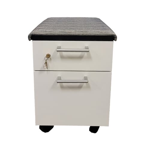 Mobile Pedestal