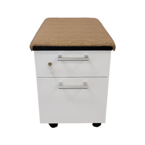 Mobile Pedestal