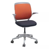 'Cobi' Mesh Conference Chair