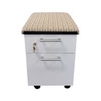 Mobile Pedestal