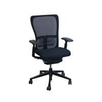 Zody Classic Mesh Back Used Task Chair